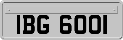 IBG6001