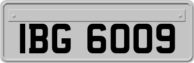 IBG6009