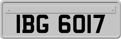 IBG6017