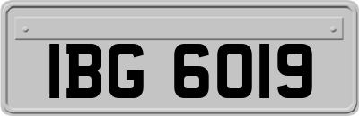 IBG6019