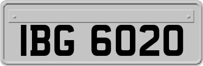 IBG6020