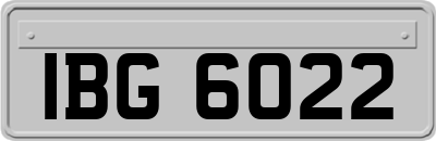 IBG6022