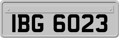 IBG6023