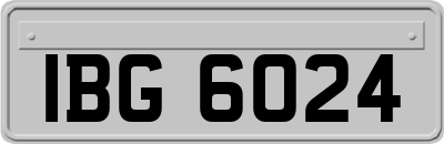 IBG6024