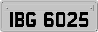 IBG6025