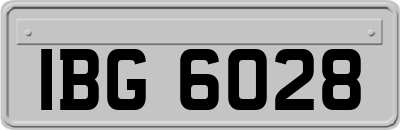 IBG6028