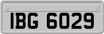 IBG6029