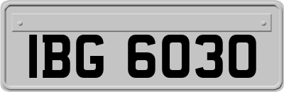 IBG6030