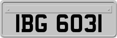 IBG6031