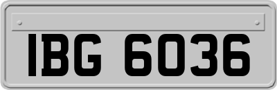 IBG6036