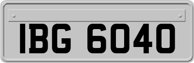 IBG6040