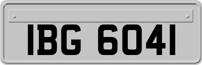 IBG6041