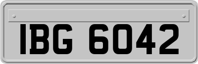 IBG6042