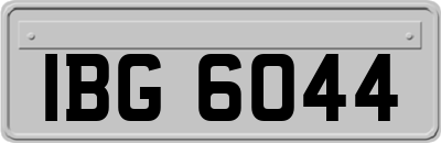 IBG6044