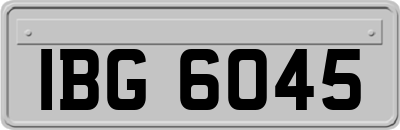 IBG6045