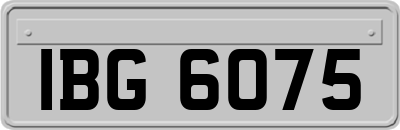 IBG6075