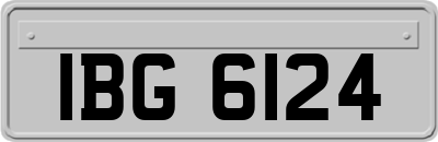 IBG6124