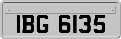 IBG6135