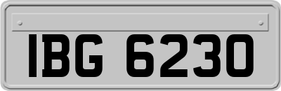 IBG6230