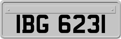 IBG6231