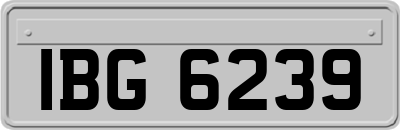 IBG6239