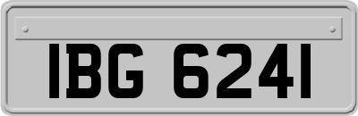 IBG6241