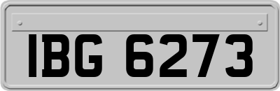 IBG6273