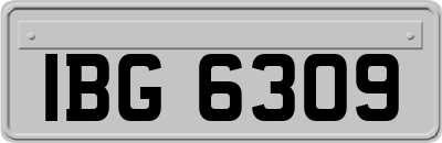 IBG6309