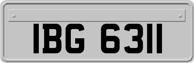 IBG6311