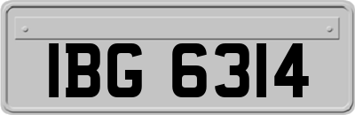 IBG6314