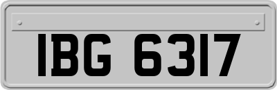 IBG6317