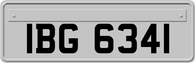 IBG6341