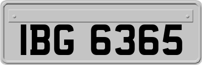 IBG6365