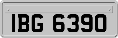 IBG6390