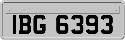 IBG6393