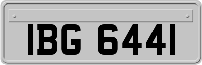 IBG6441