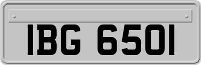 IBG6501