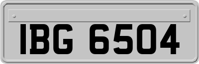 IBG6504