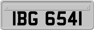 IBG6541