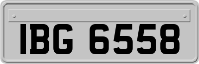 IBG6558