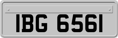 IBG6561