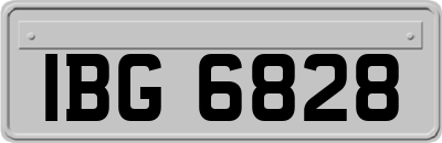 IBG6828