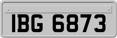 IBG6873