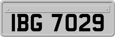 IBG7029