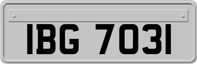 IBG7031