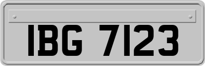 IBG7123