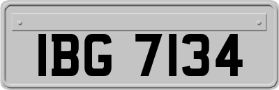 IBG7134