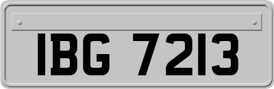 IBG7213