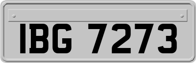 IBG7273