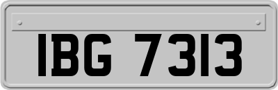 IBG7313